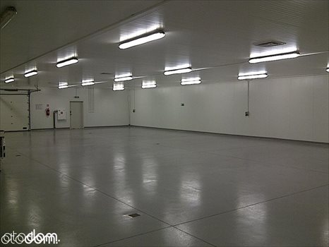 Lokal użytkowy na wynajem Białystok, Starosielce 13 000m2 Foto 2