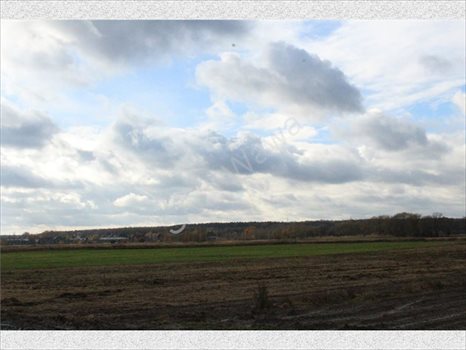 Działka rolna na sprzedaż Warszawa, Wilanów 4 388m2 Foto 9