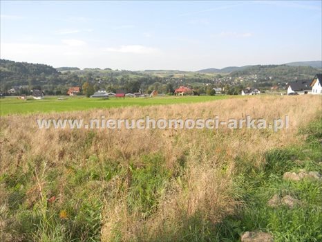 Działka budowlana na sprzedaż Dobra 1 300m2 Foto 7