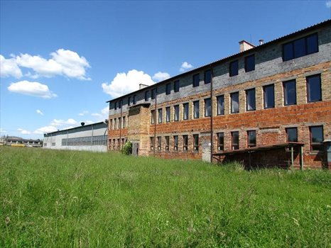 Lokal użytkowy na wynajem Oleśnica, OLEŚNICA / STREFA PRZEMYSŁOWA 330m2 Foto 3