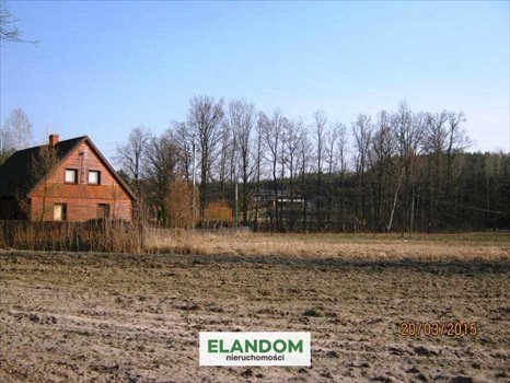 Działka rolna na sprzedaż Ponurzyca 10 000m2 Foto 9
