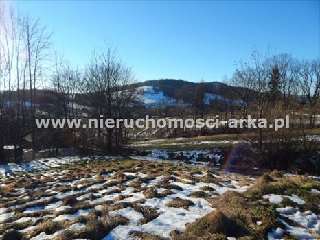 Działka budowlana na sprzedaż Wilczyce 1 900m2 Foto 4