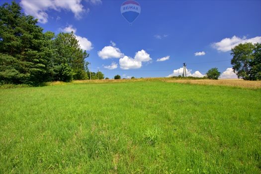 Działka budowlana na sprzedaż Roztropice 3 500m2 Foto 5