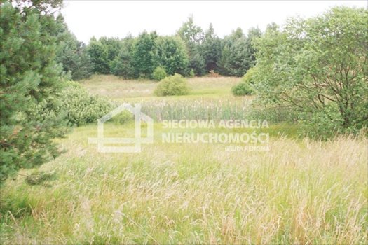 Działka budowlana na sprzedaż Sitno 3 664m2 Foto 3