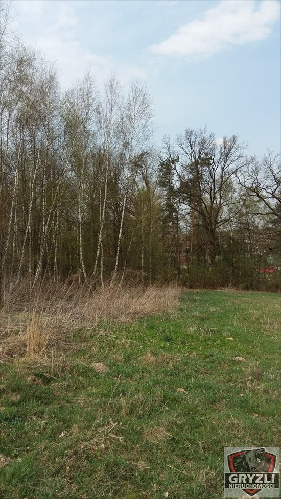 Działka budowlana na sprzedaż Masłomiąca 1 500m2 Foto 1