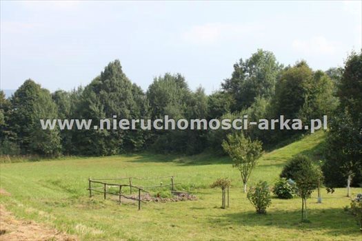 Działka budowlana na sprzedaż Gruszowiec 3 400m2 Foto 7