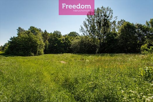 Działka siedliskowa na sprzedaż Graniczna Wieś, Jarzębinowa 6 000m2 Foto 2