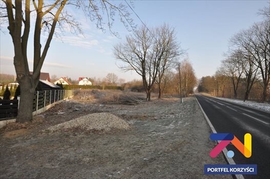 Działka budowlana na sprzedaż Droszków 2 500m2 Foto 5