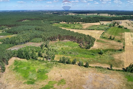 Działka rolna na sprzedaż Hetmanów 414 600m2 Foto 9