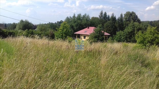 Działka budowlana na sprzedaż Krzywaczka 1 600m2 Foto 4