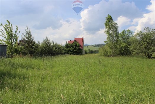Działka inwestycyjna na sprzedaż Nowy Targ 2 911m2 Foto 6