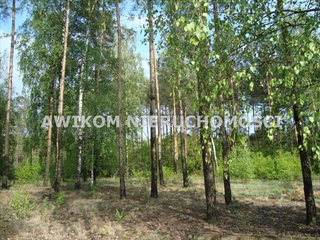 Działka rekreacyjna na sprzedaż Musuły 1 600m2 Foto 5