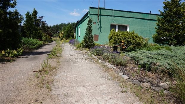 Dom na sprzedaż Daszewice, Szkolna 105m2 Foto 13