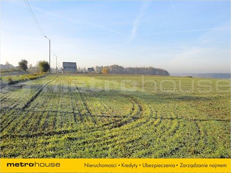 Działka inna na sprzedaż Golęczewo, Suchy Las 1 196m2 Foto 4