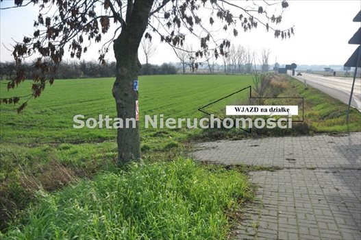 Działka inna na sprzedaż Topola Królewska 16 321m2 Foto 4