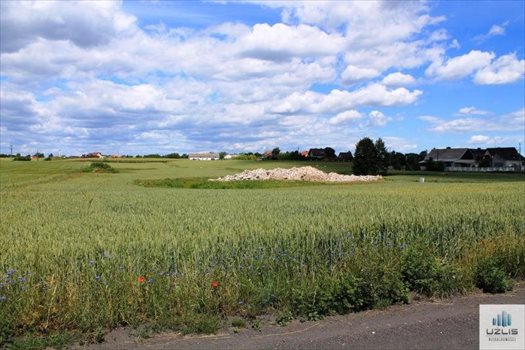 Działka inna na sprzedaż Janowo, Łąkowa 1 518m2 Foto 8
