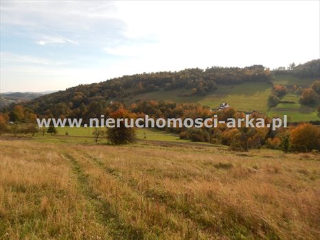Działka inna na sprzedaż Limanowa 2 000m2 Foto 1
