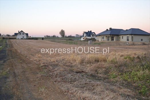 Działka budowlana na sprzedaż Zofiówka 4 000m2 Foto 1