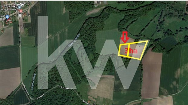 Działka siedliskowa na sprzedaż Kryształowice 10 000m2 Foto 1
