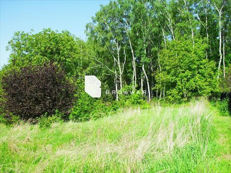 Działka budowlana na sprzedaż Rybnik, Niedobczyce 1 137m2 Foto 2