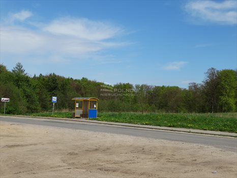 Działka budowlana na sprzedaż Łapino Kartuskie 734m2 Foto 13