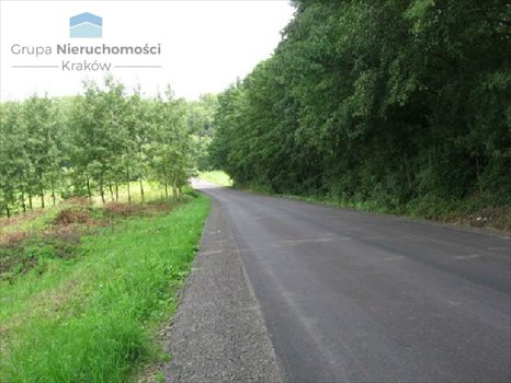 Działka inna na sprzedaż Konary, Brzegi 6 800m2 Foto 2