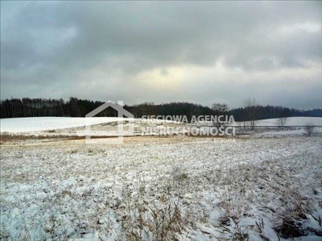 Działka budowlana na sprzedaż Nowa Wieś Przywidzka 11 600m2 Foto 4