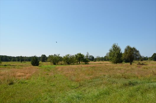 Dom na sprzedaż Kąty-Wielgi 120m2 Foto 11