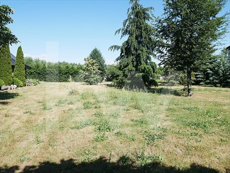 Działka budowlana na sprzedaż Poznań, Radojewo, Radojewo 2 200m2 Foto 6