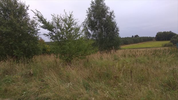 Działka budowlana na sprzedaż Gdańsk, Klukowo 831m2 Foto 2