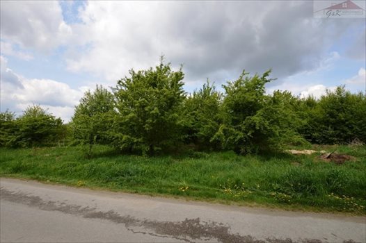 Działka budowlana na sprzedaż Ostrów 3 800m2 Foto 7