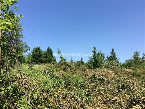 Działka budowlana na sprzedaż Kalwaria Zebrzydowska 24 786m2 Foto 2