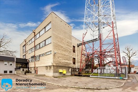 Lokal użytkowy na sprzedaż Szamotuły 1 846m2 Foto 4