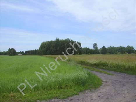 Działka rolna na sprzedaż Holendry Baranowskie 28 400m2 Foto 2