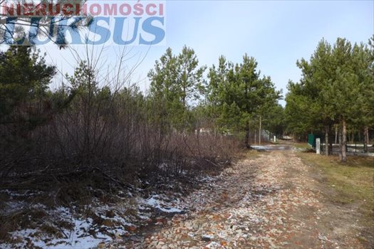 Działka budowlana na sprzedaż Łoś, Łoś 1 000m2 Foto 3