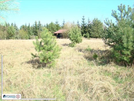 Działka budowlana na sprzedaż Laskowo 1 823m2 Foto 2