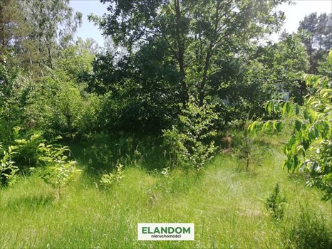 Działka budowlana na sprzedaż Józefów 811m2 Foto 2