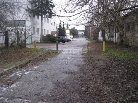 Działka inwestycyjna na sprzedaż Poznań, Podolany, Jasielska 2 500m2 Foto 6