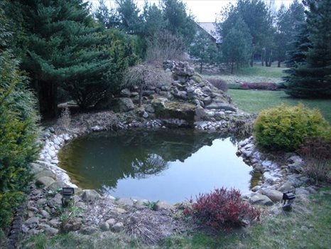 Dom na sprzedaż Borkowo, Przyjazna 120m2 Foto 6