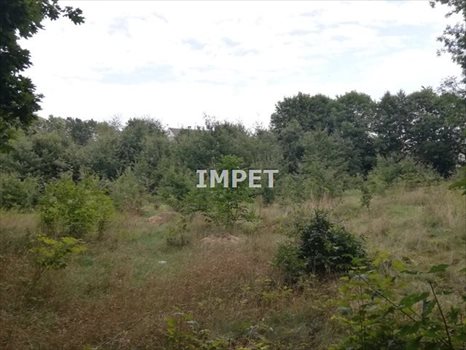 Działka budowlana na sprzedaż Zgorzelec, Ujazd 2 331m2 Foto 5