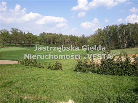 Działka inna na sprzedaż Jastrzębie-Zdrój, Ruptawa 980m2 Foto 2