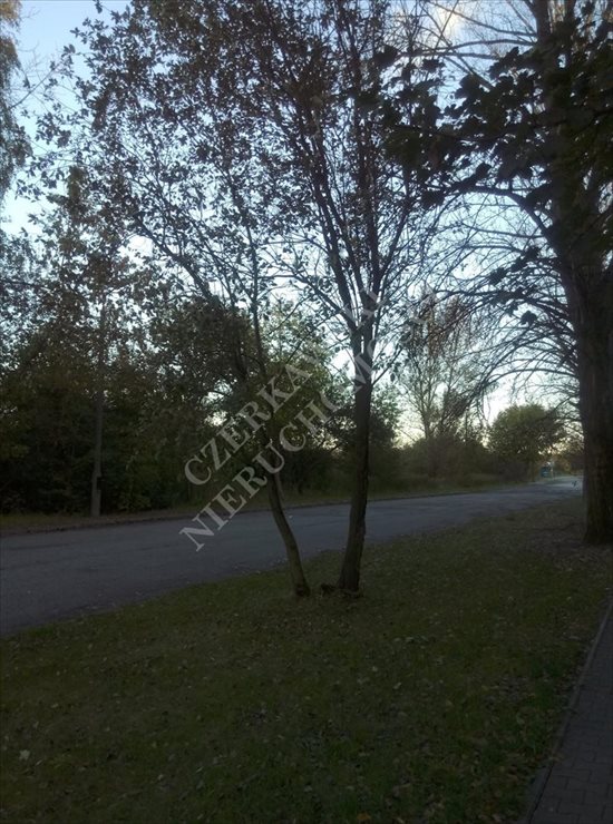 Działka inna na sprzedaż Zabrze, Zaborze 4 900m2 Foto 1