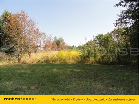 Działka inna na sprzedaż Pabianice, Pabianice 3 161m2 Foto 2