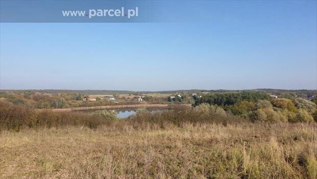 Działka budowlana na sprzedaż Góra, Góra 3 316m2 Foto 3