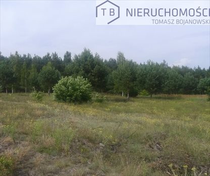 Działka budowlana na sprzedaż Powidz, Ostrowo, Nad Jeziorem 15 000m2 Foto 2