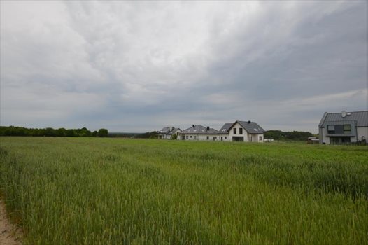 Działka budowlana na sprzedaż Bojano, Las, Tereny rekreacyjne, Lesoki 1 500m2 Foto 12