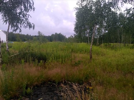Działka rolna na sprzedaż Mokre 13 000m2 Foto 1