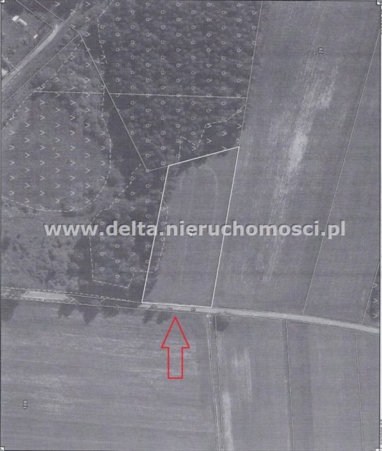 Działka budowlana na sprzedaż Warblewo 5 500m2 Foto 8