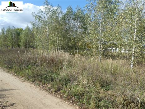 Działka budowlana na sprzedaż Woszczele, Woszczele 1 301m2 Foto 3