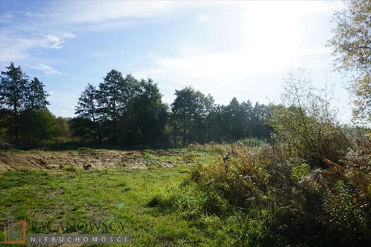 Działka budowlana na sprzedaż Giebułtów 2 600m2 Foto 2